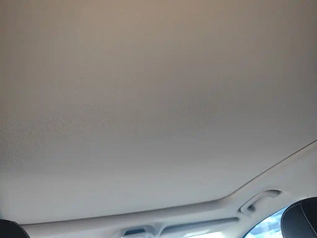 Xingrui 2021 2.0TD luxury model купить на сайте DeffCars