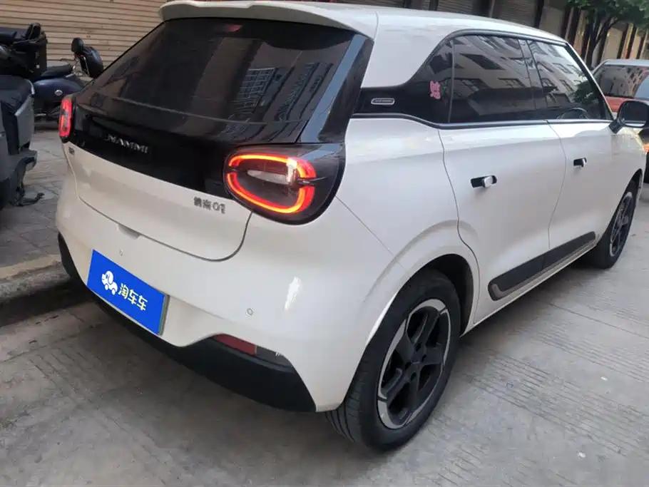 Nano 01 2024 Renewed Version 430 Plus Smart+ купить на сайте DeffCars