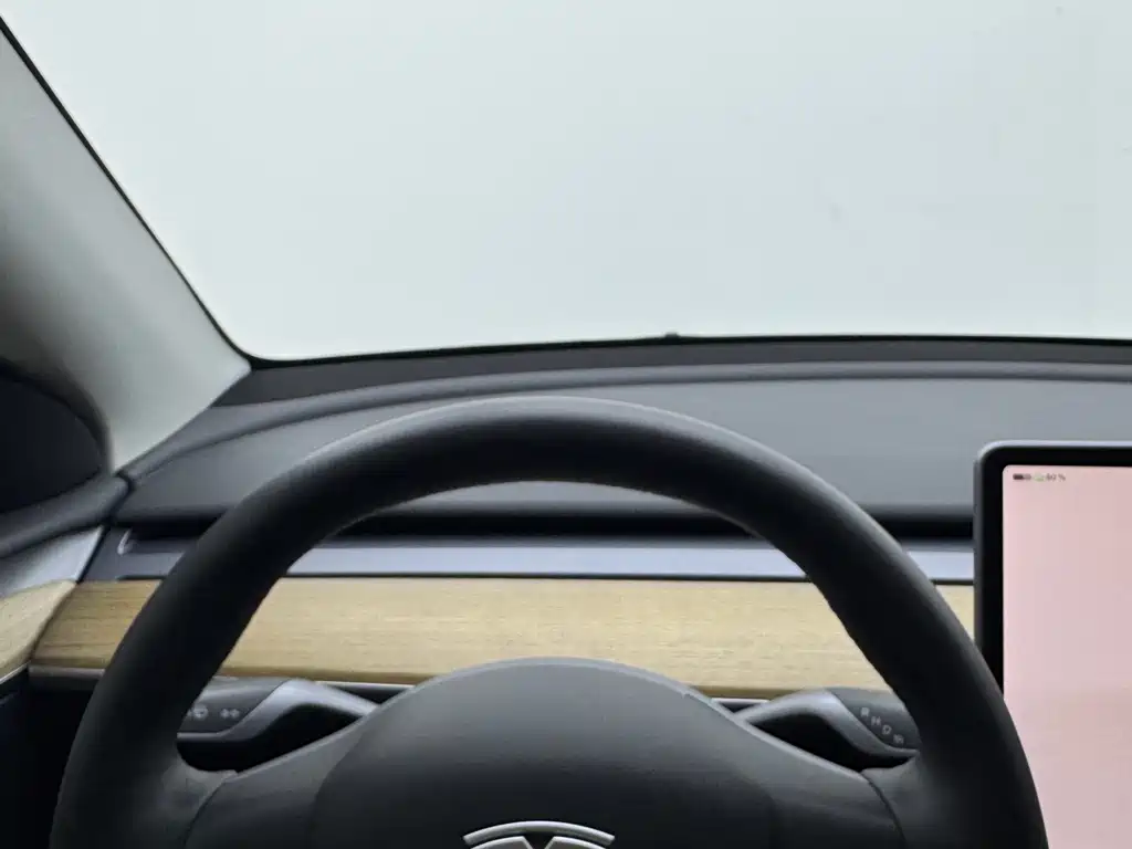 Model Y 2022 rear-wheel drive version купить на сайте DeffCars