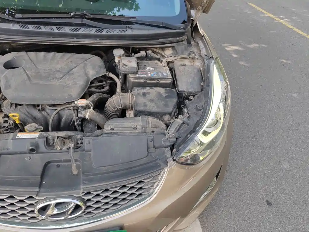 Langdong 2016 1.6L automatic premium model купить на сайте DeffCars