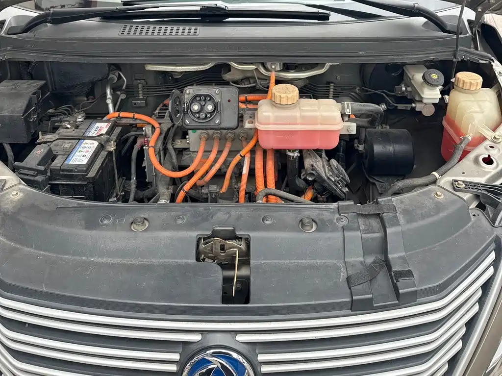 Lingzhi New Energy 2018 Comfort Model купить на сайте DeffCars