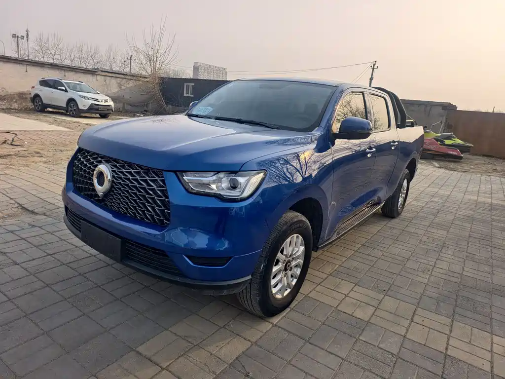 Cannon 2019 2.0T commercial version automatic gasoline two-wheel drive elite long box GW4C20B купить на сайте DeffCars