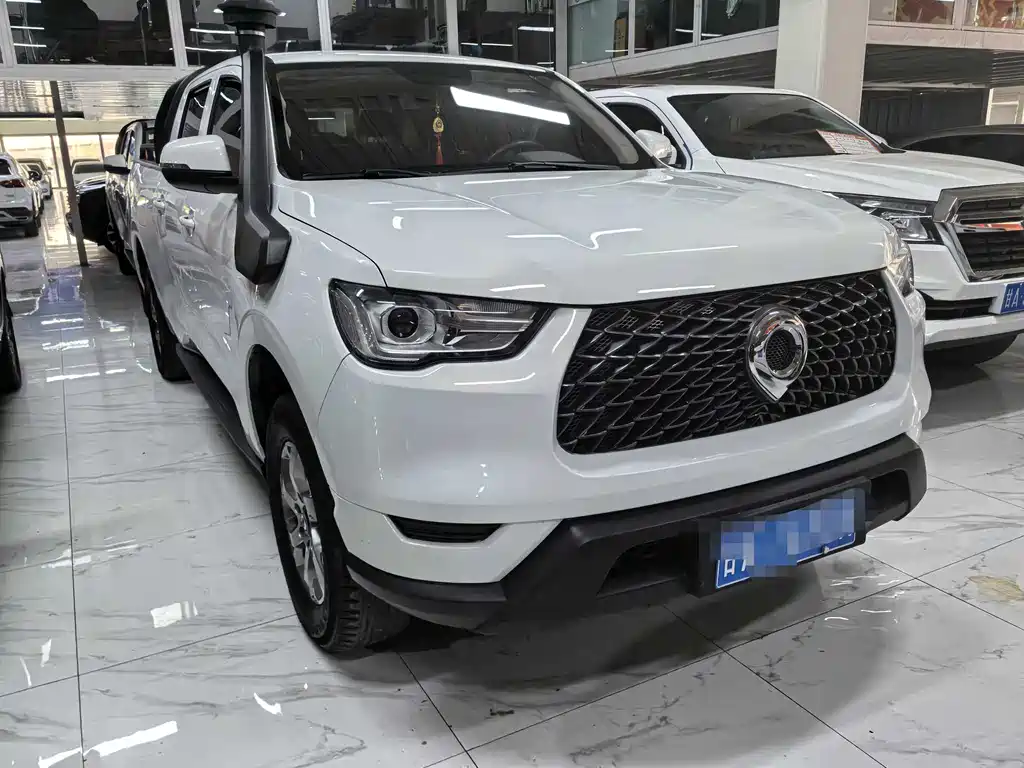 Cannon 2021 2.0T commercial version automatic gasoline four-wheel drive elite long box GW4C20B купить на сайте DeffCars