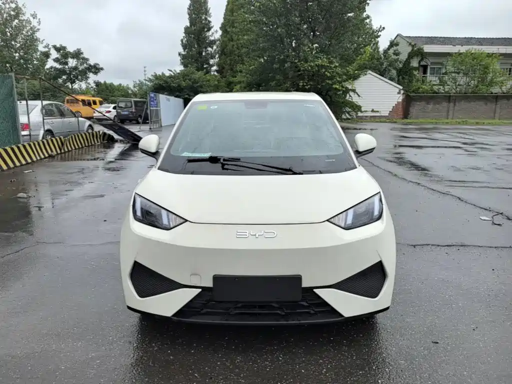Seagull 2025 Smart Driving Edition 305km Dynamic купить на сайте DeffCars