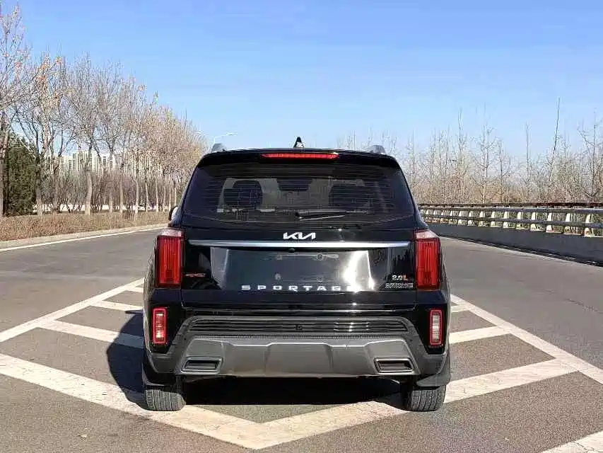 Zhipao 2021 Ace 2.0L Wonderful Edition купить на сайте DeffCars