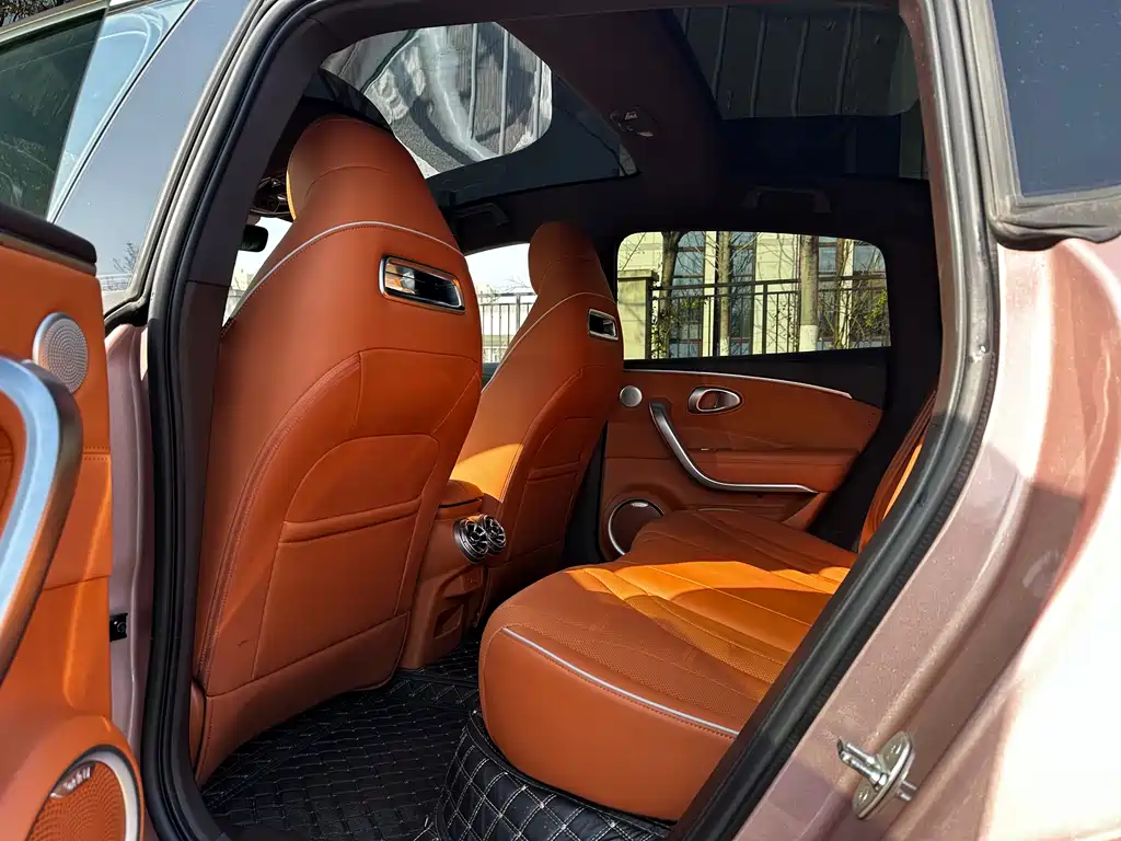Euler Lightning Cat 2022 600km four-wheel drive high-performance version купить на сайте DeffCars
