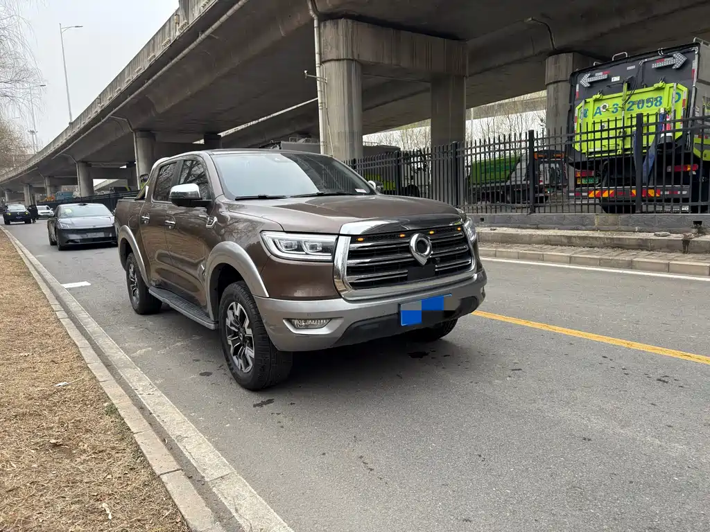 Cannon 2019 2.0T automatic gasoline four-wheel drive exclusive version GW4C20B купить на сайте DeffCars