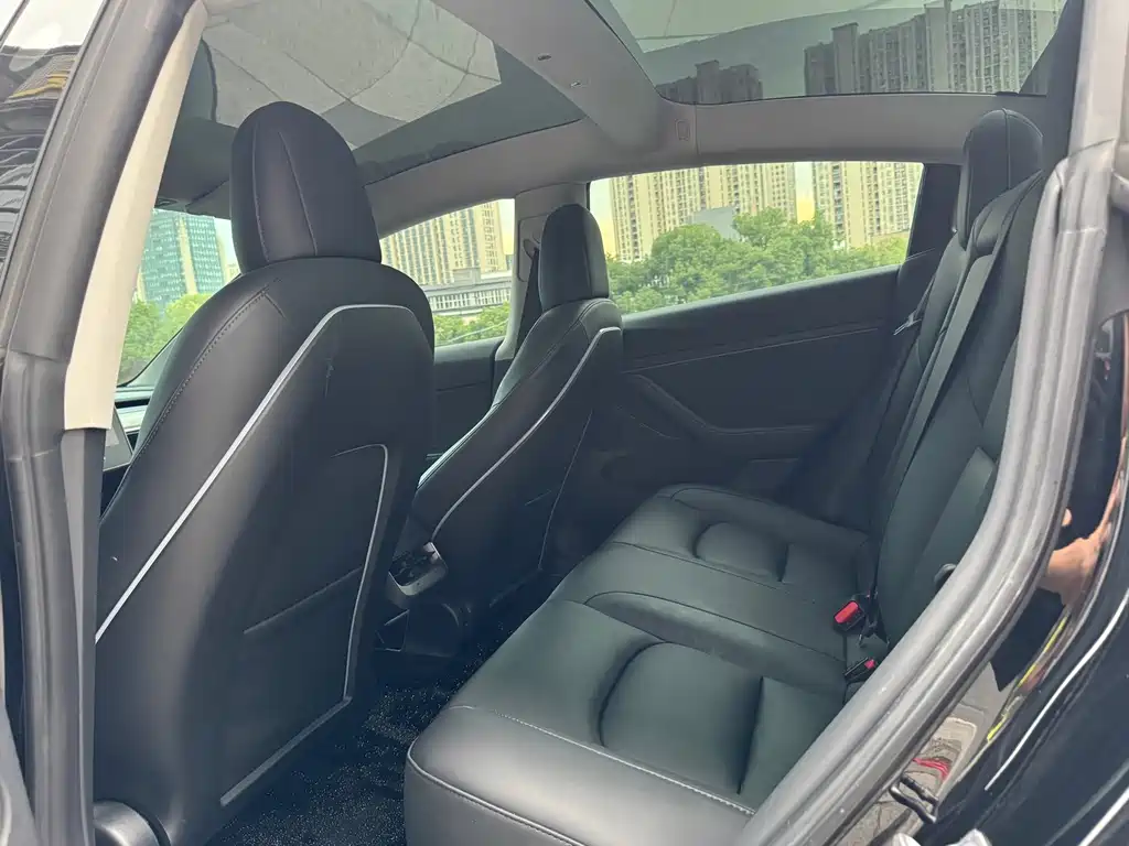 Model 3 2021 Standard Range Rear Drive Upgrade купить на сайте DeffCars