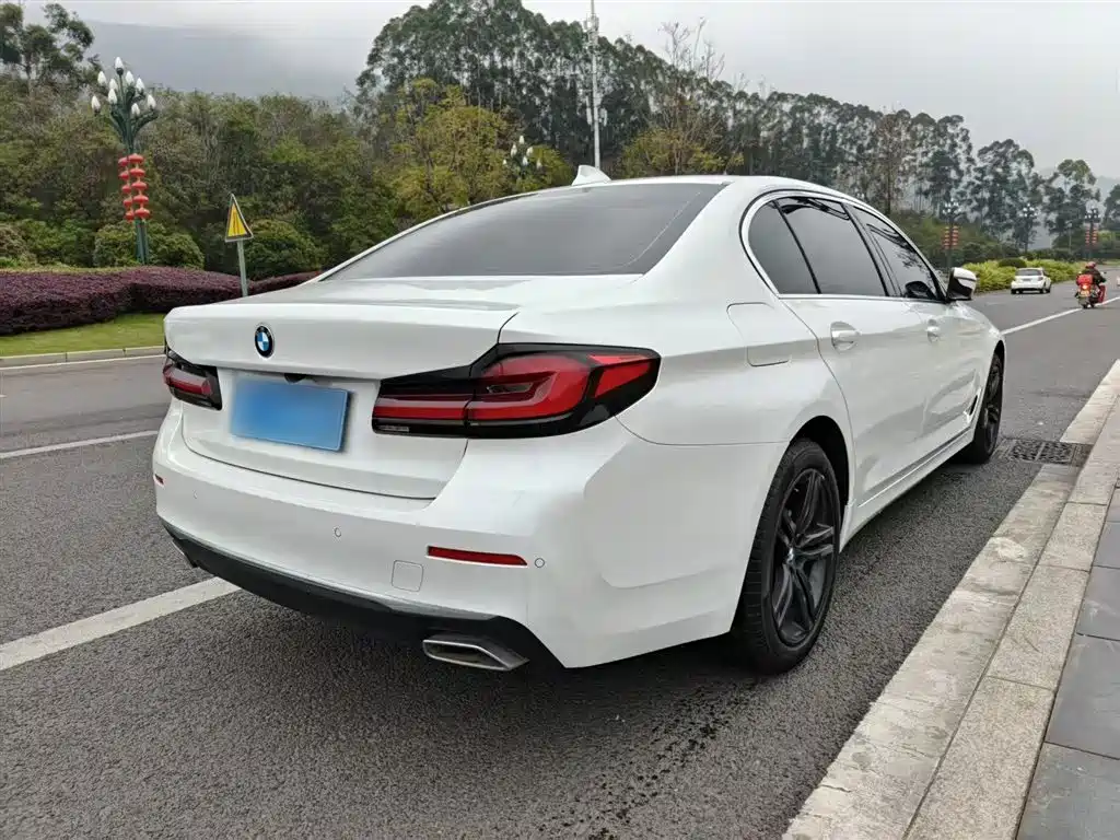 BMW 5 Series 2021 facelift 530Li leading model luxury package купить на сайте DeffCars