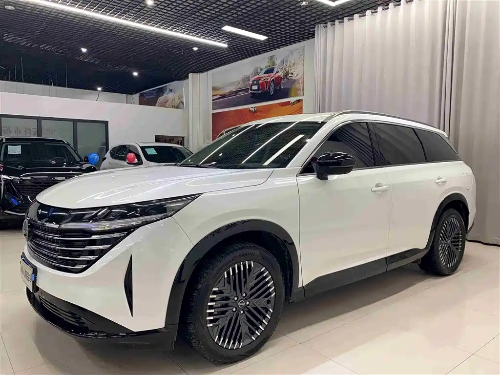 Tanlu 2024 380VC-TURBO four-wheel drive Zhizun Edition 6 seats купить на сайте DeffCars
