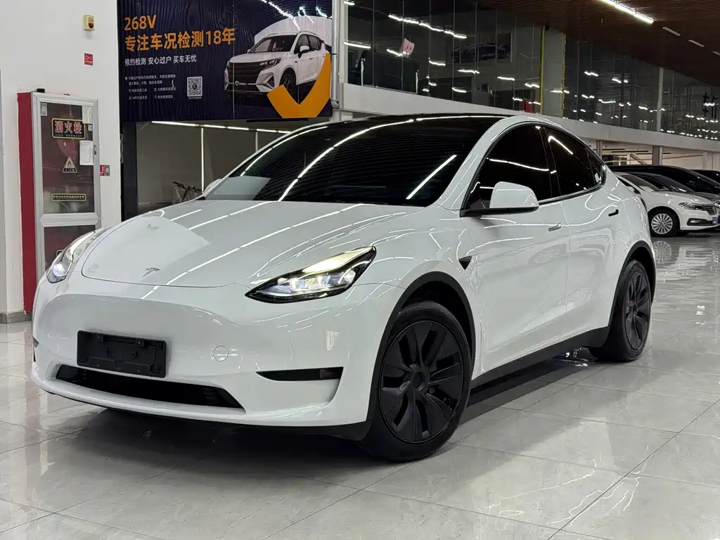 Model Y 2024 rear-wheel drive version купить на сайте DeffCars