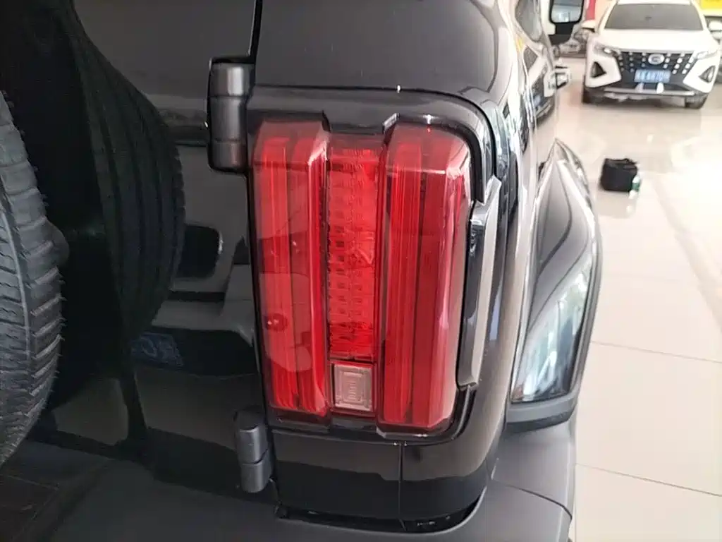 TANK 300 2023 City Edition 2.0T Very Stylish купить на сайте DeffCars