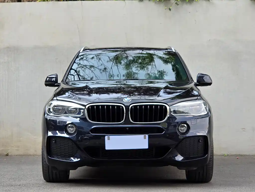 BMW X5 imported 2017 xDrive35i M luxury sports model купить на сайте DeffCars