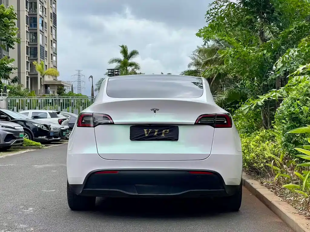 Model Y 2021 standard range rear-wheel drive version купить на сайте DeffCars