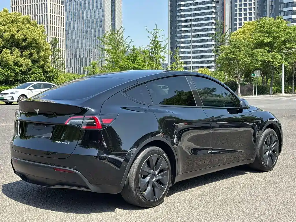 Model Y 2024 rear-wheel drive version купить на сайте DeffCars