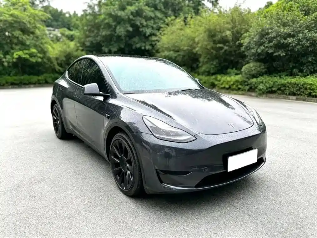 Model Y 2024 rear-wheel drive version купить на сайте DeffCars