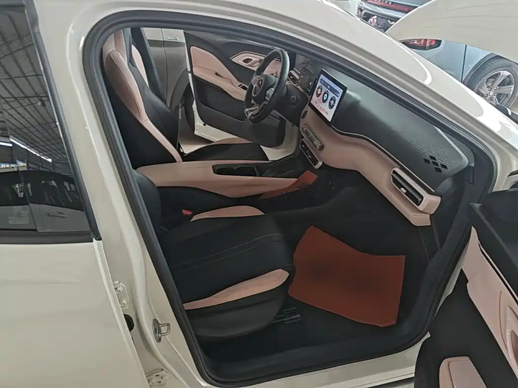 Seagull 2023 Free Edition купить на сайте DeffCars