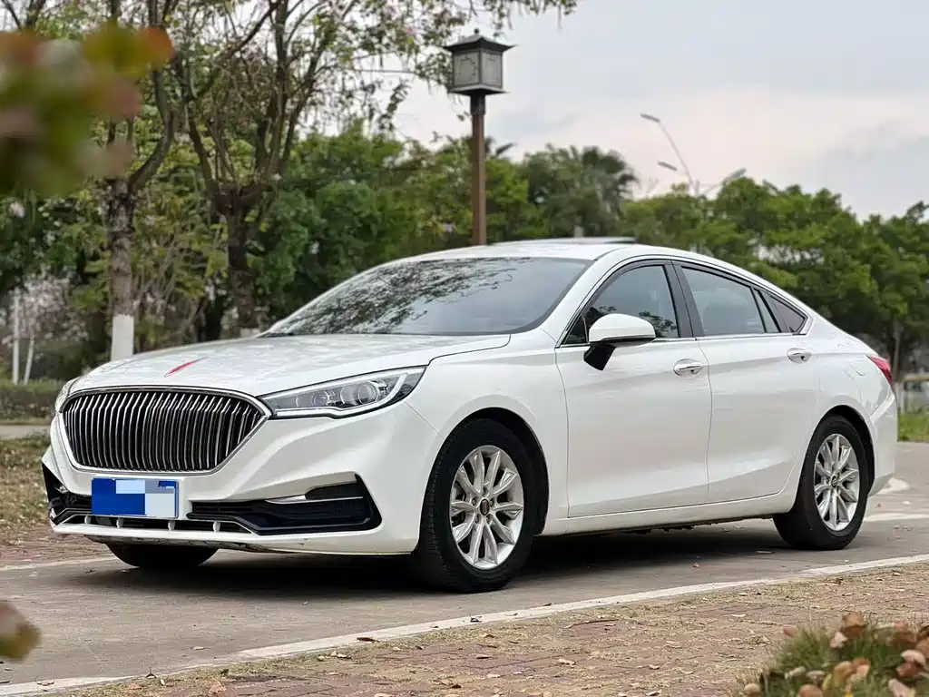 Hongqi H5 2019 30TD dynamic version купить на сайте DeffCars
