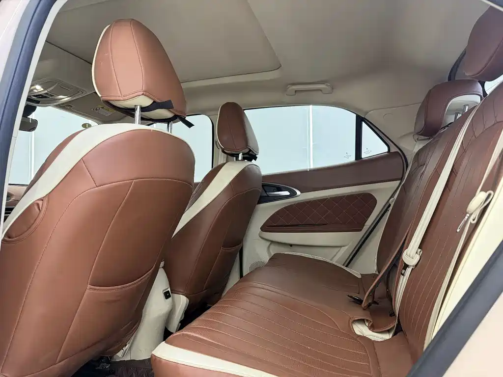 Euler Good Cat 2021 Model 400km Standard Range Athena Edition Lithium Iron Phosphate купить на сайте DeffCars