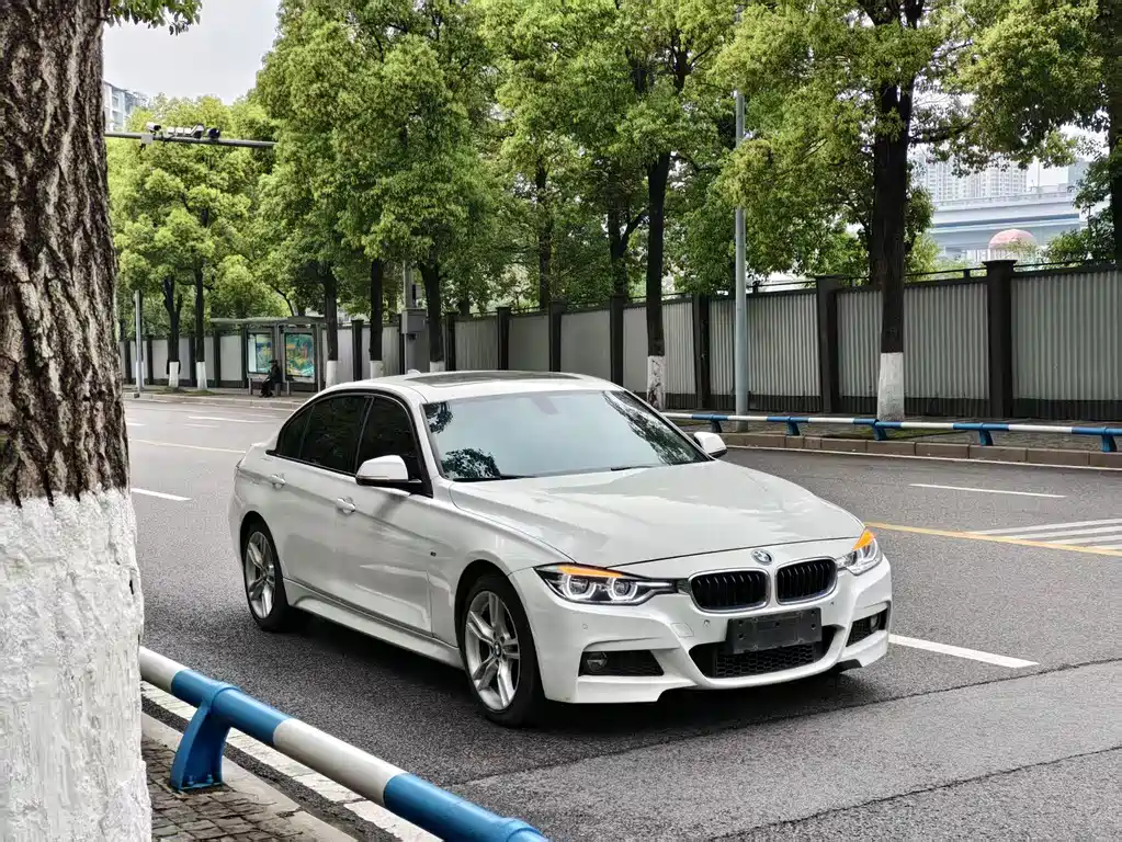 BMW 3 Series 2019 320Li M Luxury Package купить на сайте DeffCars