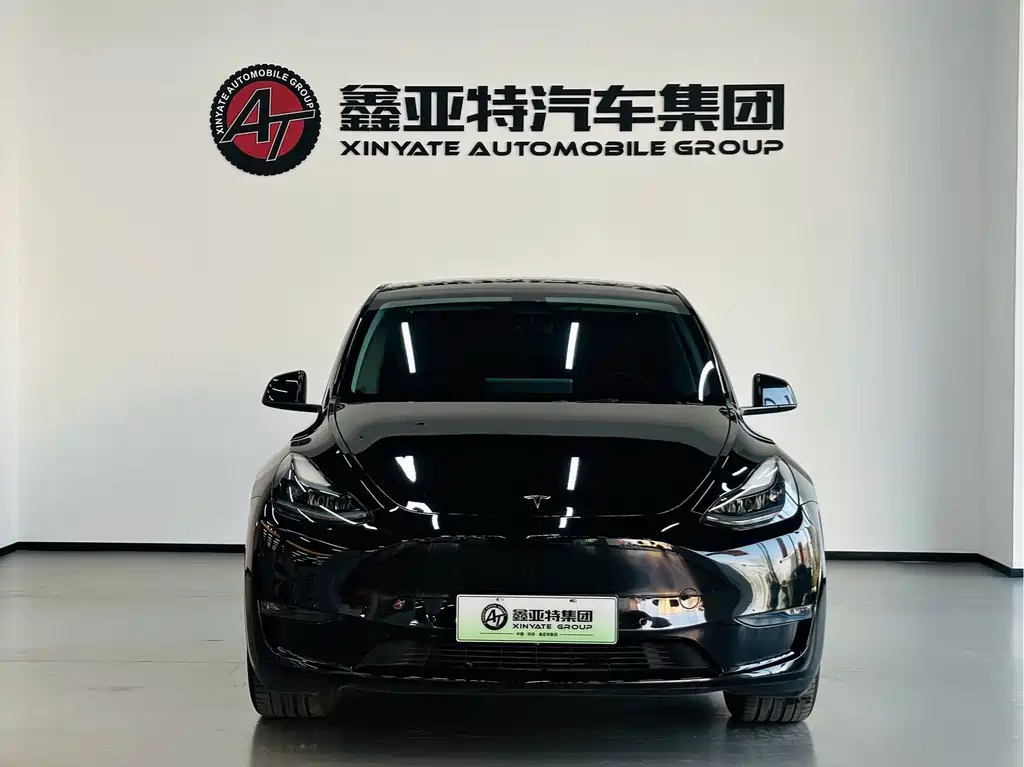 Model Y 2021 standard range rear-wheel drive version купить на сайте DeffCars