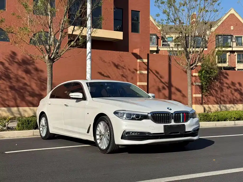 BMW 5 Series 2019 530Li Leading Luxury Package купить на сайте DeffCars