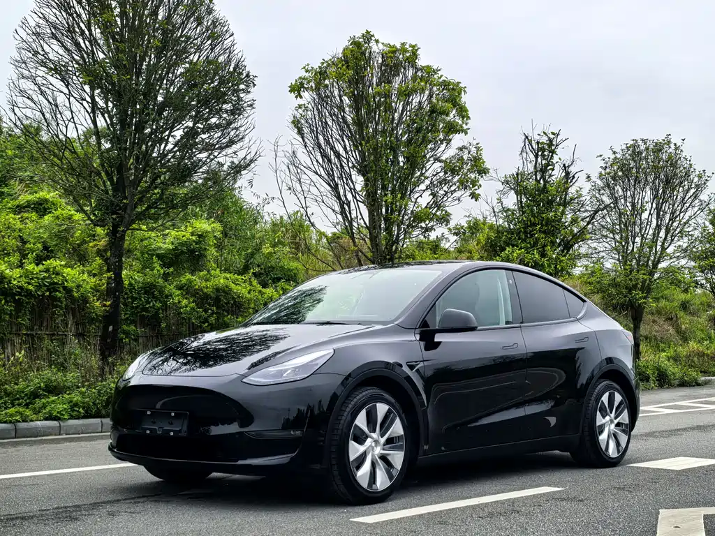 Model Y 2022 facelift, long-range all-wheel drive version купить на сайте DeffCars