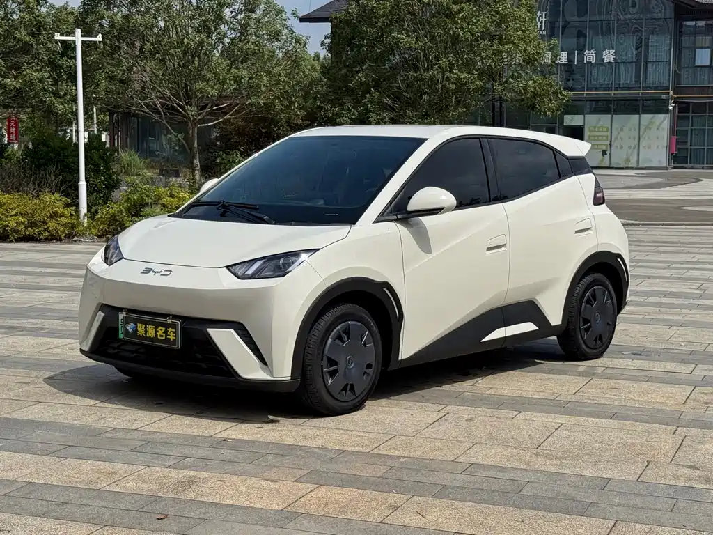 Seagull 2025 model 305km free version купить на сайте DeffCars