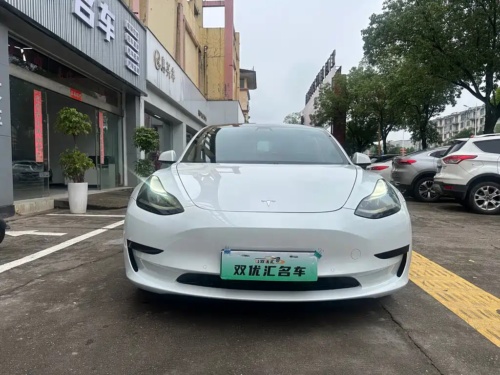 Model 3 2020 Standard Range Rear Drive Upgrade купить на сайте DeffCars