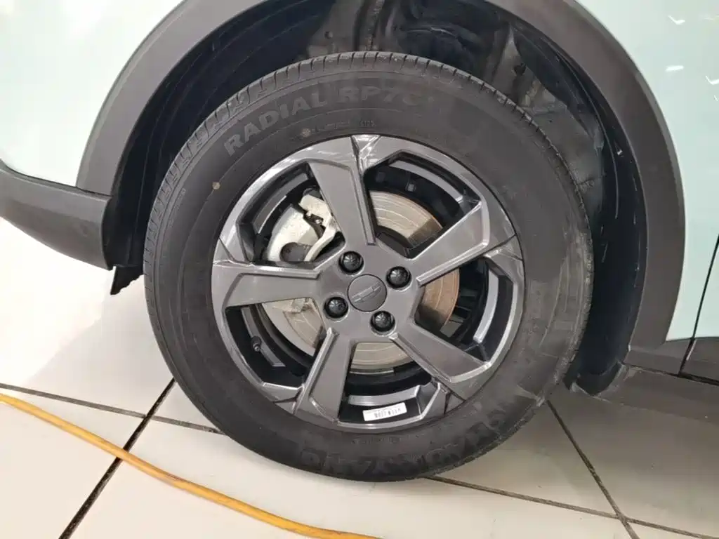 Geely Geometry E Firefly 2024 model 301km Starlight купить на сайте DeffCars