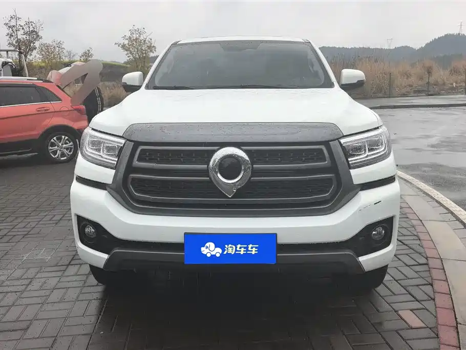 Cannon 2023 2.0T passenger version automatic diesel four-wheel drive comfort type GW4D20M купить на сайте DeffCars