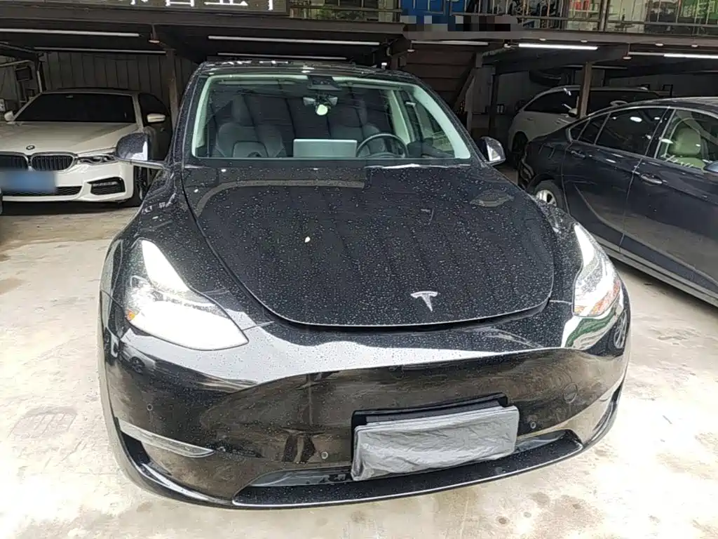 Model Y 2021 standard range rear-wheel drive version купить на сайте DeffCars