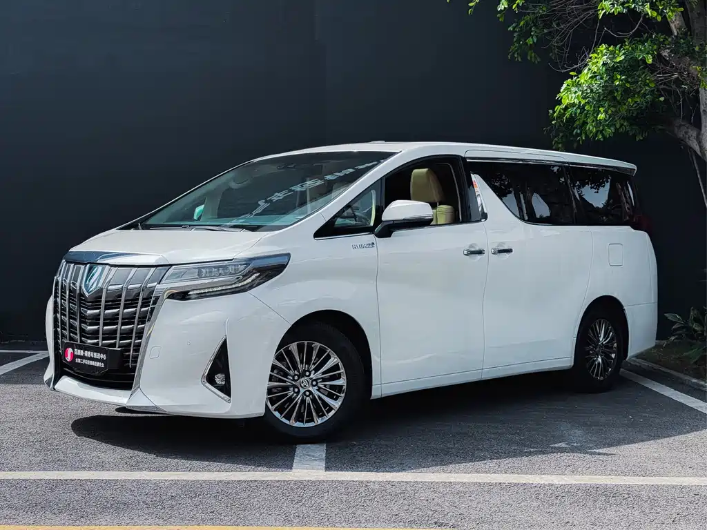 Alfa 2019 Shuangqing 2.5L Premium Edition купить на сайте DeffCars