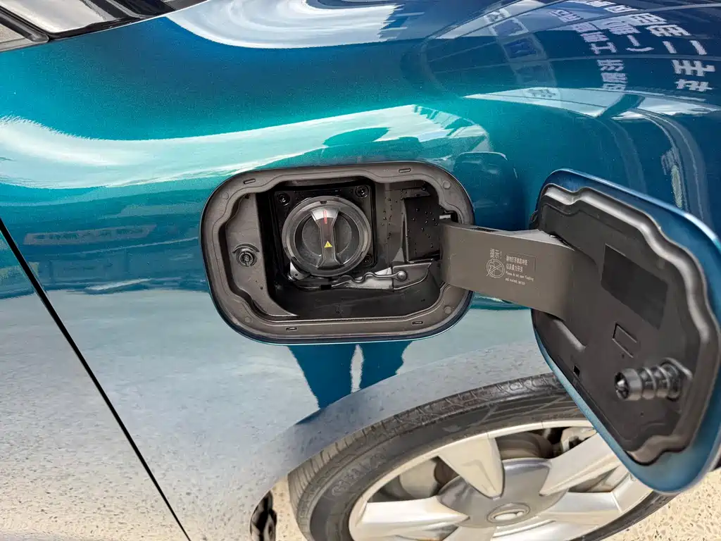 Euler Good Cat 2022 model 400km standard battery life premium type ternary lithium купить на сайте DeffCars