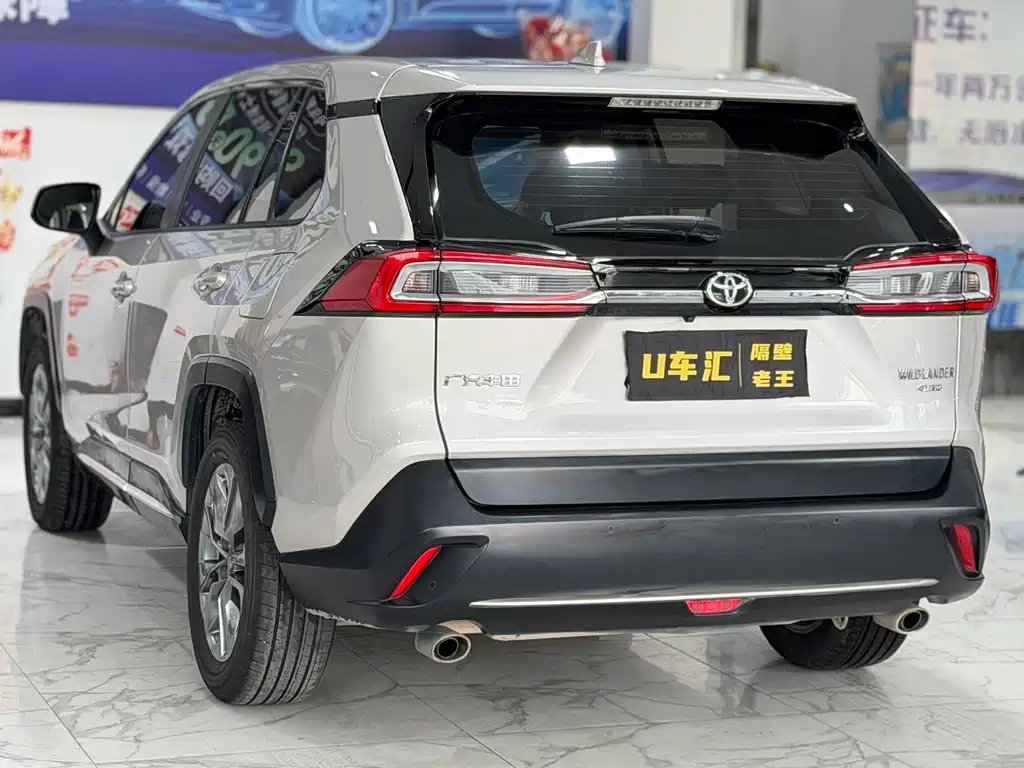 Wilanda 2020 2.0L CVT four-wheel drive luxury version купить на сайте DeffCars