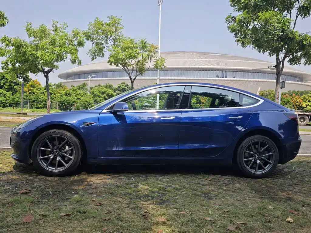 Model 3 imported 2019 standard range rear drive upgraded version купить на сайте DeffCars