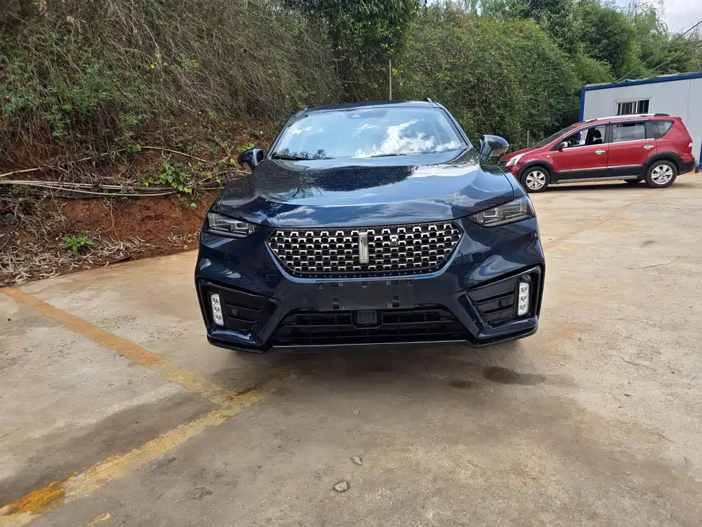 Wei brand VV7 2020 2.0T flagship model купить на сайте DeffCars