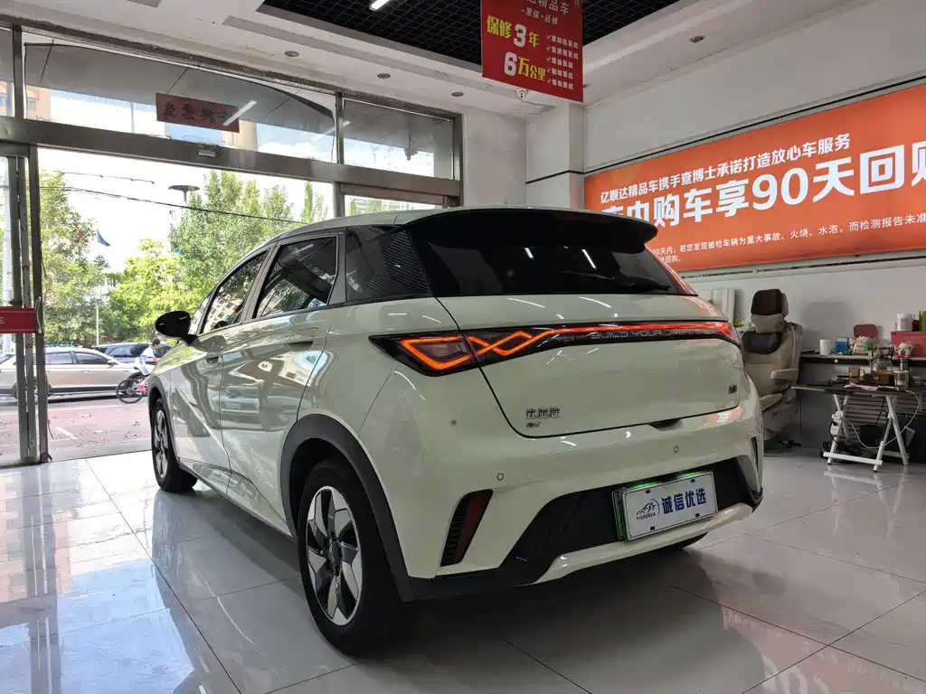 Dolphin 2024 Honor Edition 420km Fashion купить на сайте DeffCars