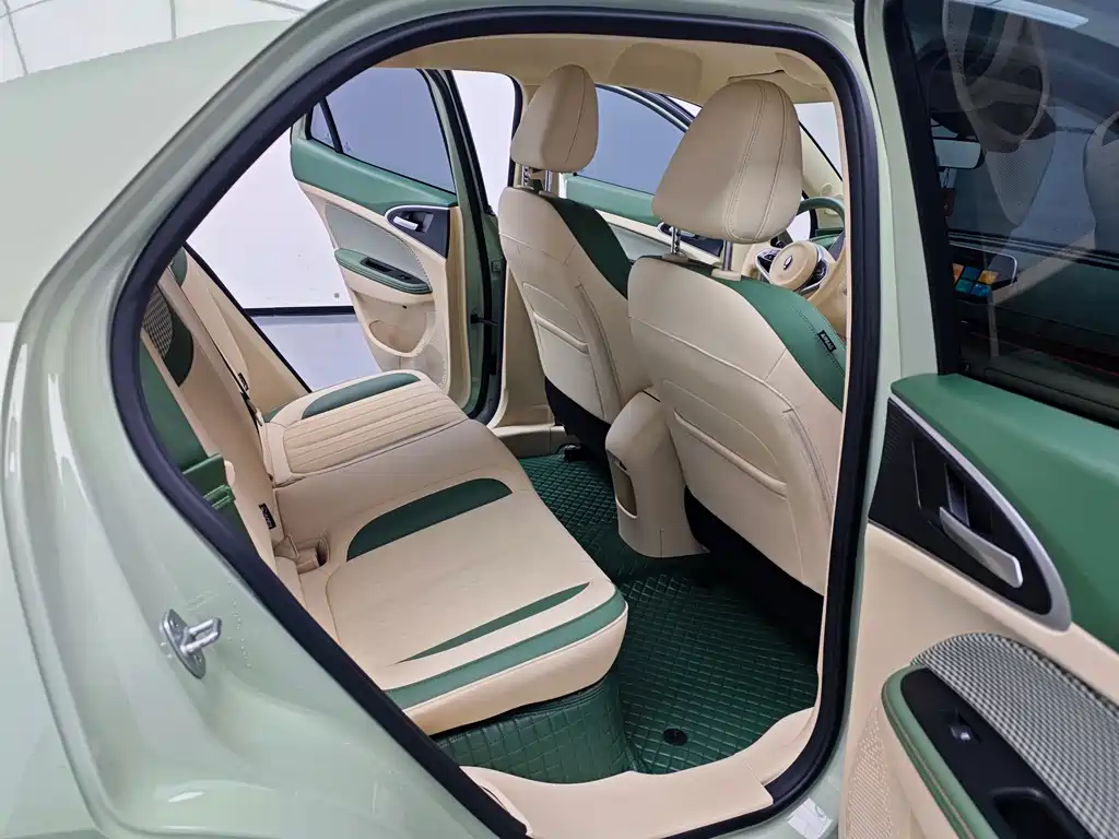 Euler Good Cat 2023 model 401km standard battery life luxury model lithium iron phosphate купить на сайте DeffCars