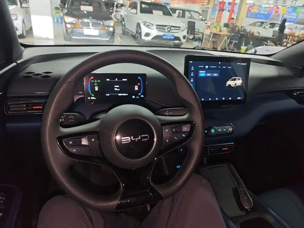 Seagull 2025 Smart Driving Edition 305km Vitality Edition купить на сайте DeffCars