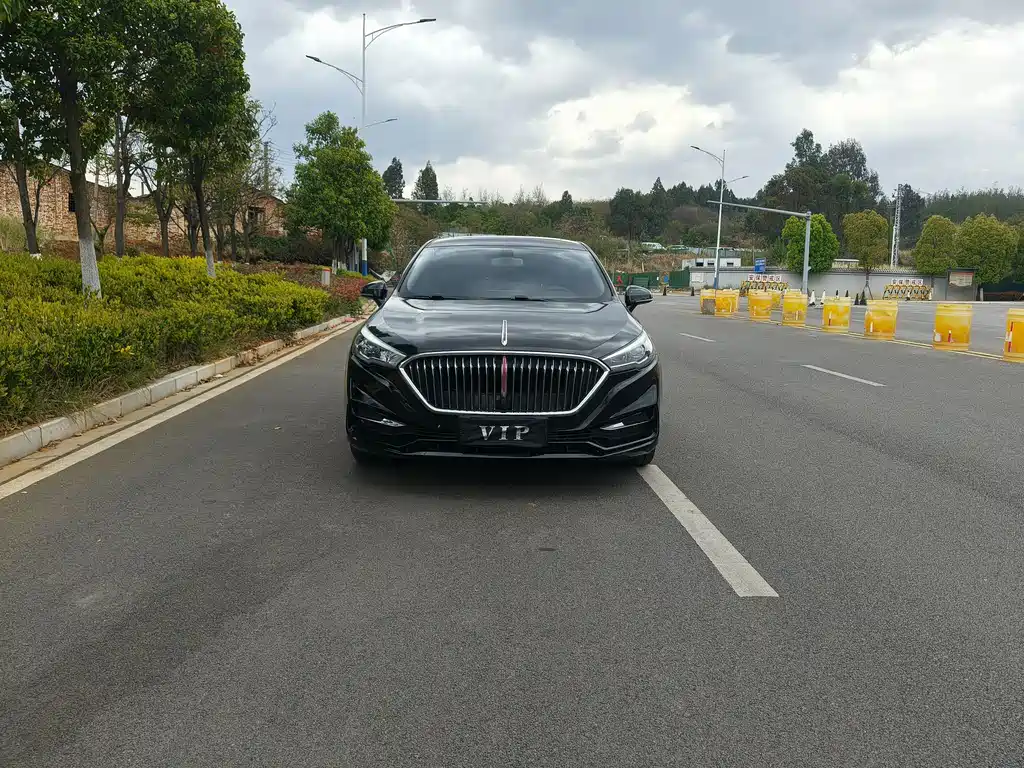Hongqi H5 2019 30TD dynamic version купить на сайте DeffCars