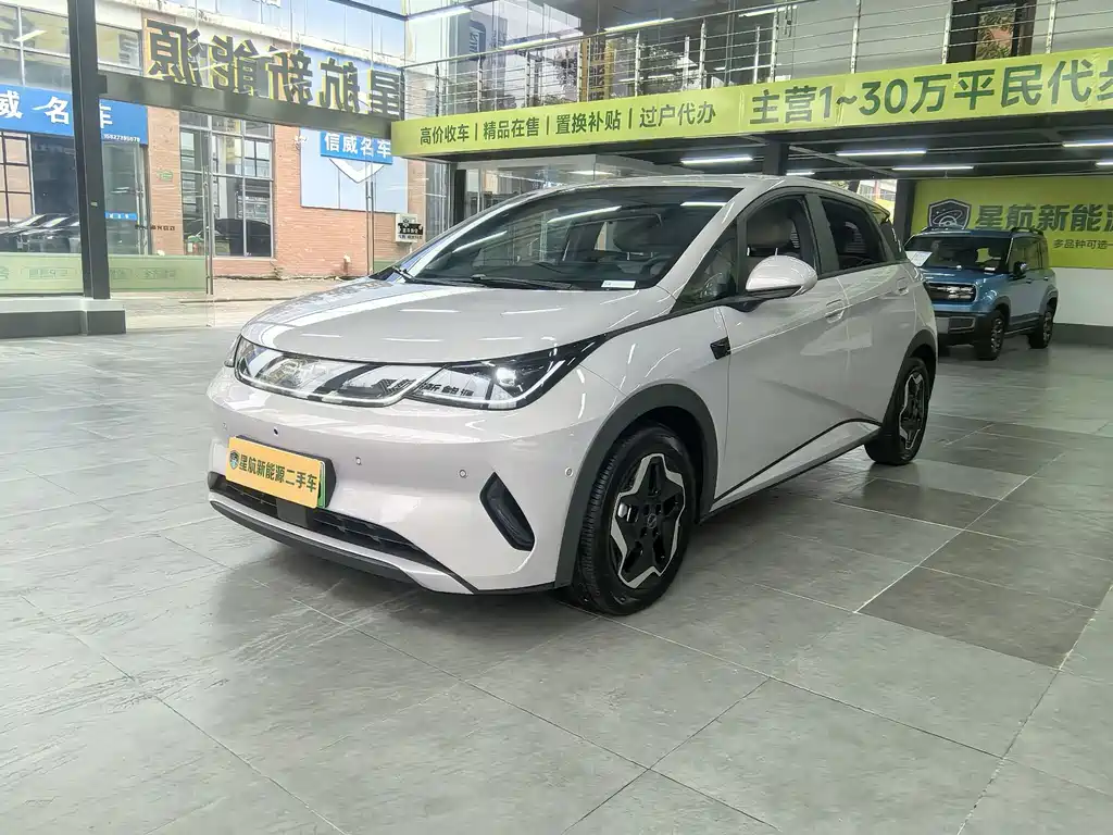 Dolphin 2025 smart driving version 420km free version купить на сайте DeffCars