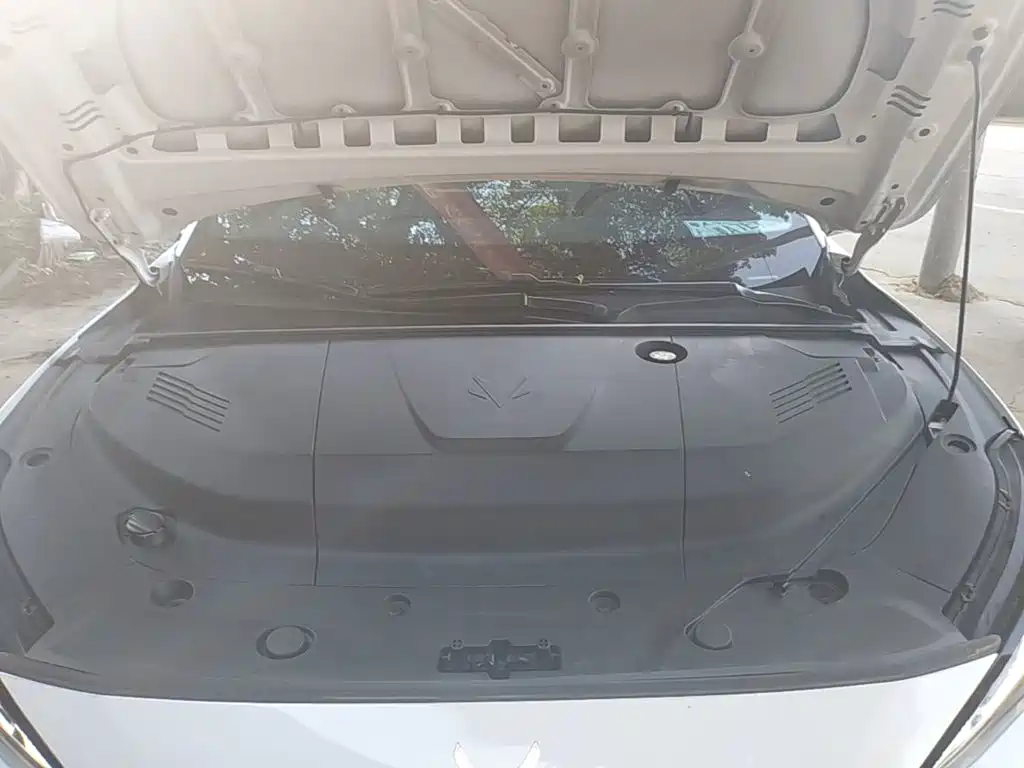 JiFox Alpha S5 2025 560PRO 185kW купить на сайте DeffCars