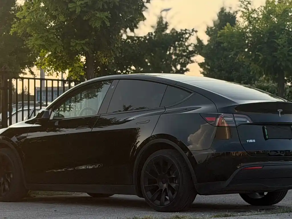 Model Y 2021 standard range rear-wheel drive version купить на сайте DeffCars