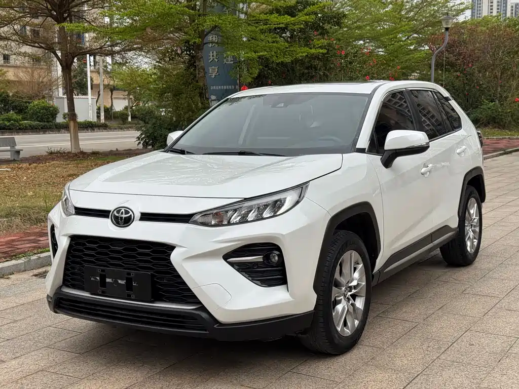 Wilanda 2020 2.0L CVT two-wheel drive luxury version купить на сайте DeffCars