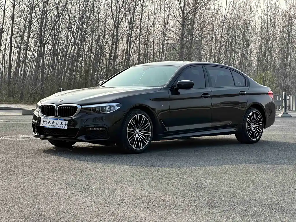 BMW 5 Series 2019 530Li Leading M Sports Package купить на сайте DeffCars