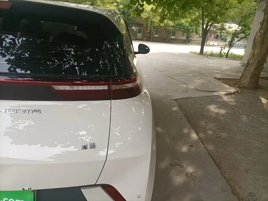 Seagull 2023 Vitality Edition купить на сайте DeffCars