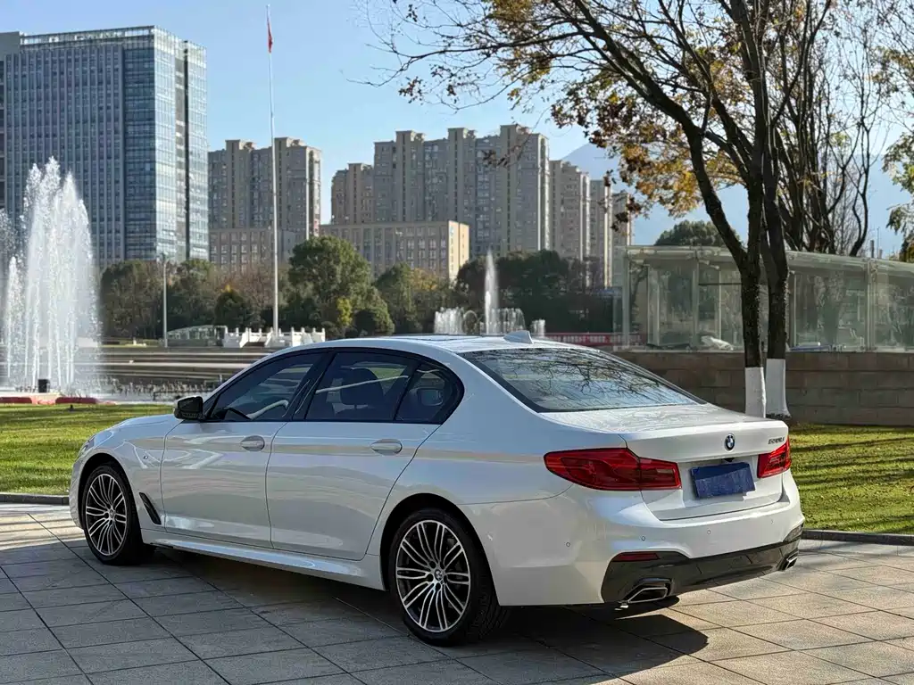 BMW 5 Series 2019 530Li Leading M Sports Package купить на сайте DeffCars