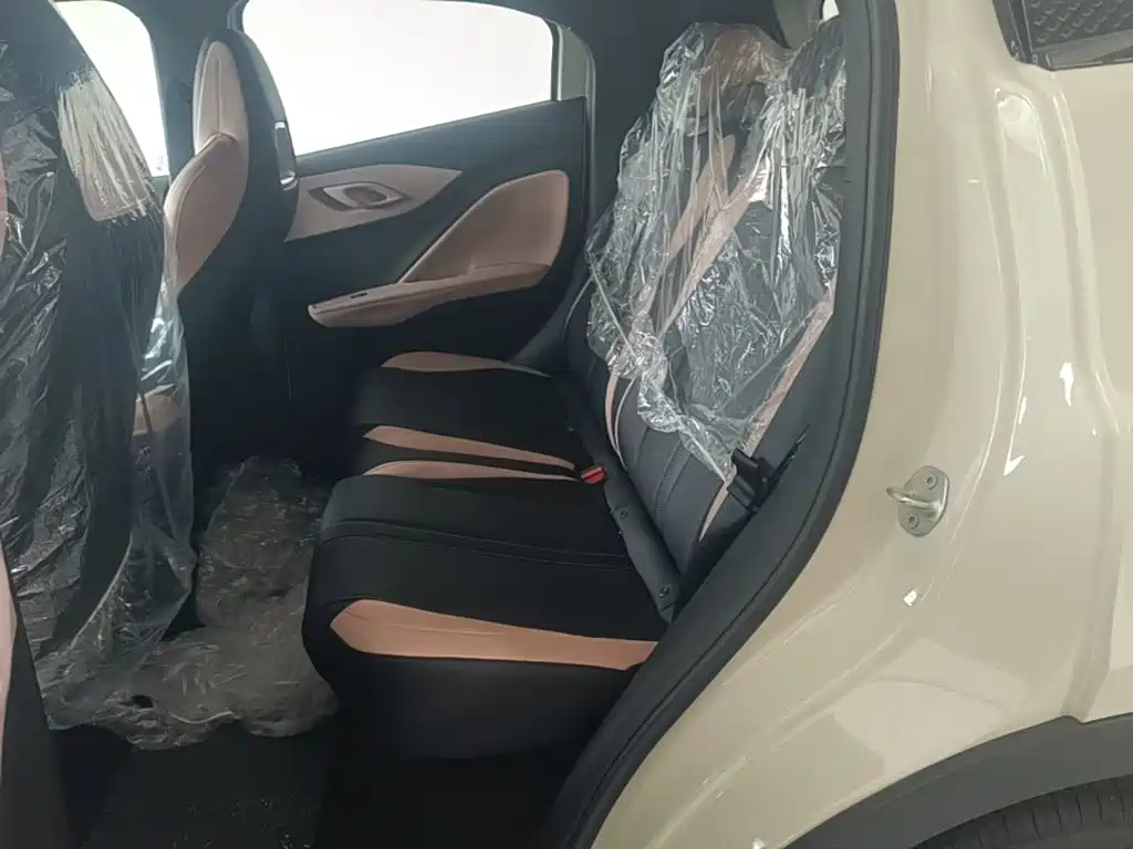 Seagull 2025 305km active version купить на сайте DeffCars