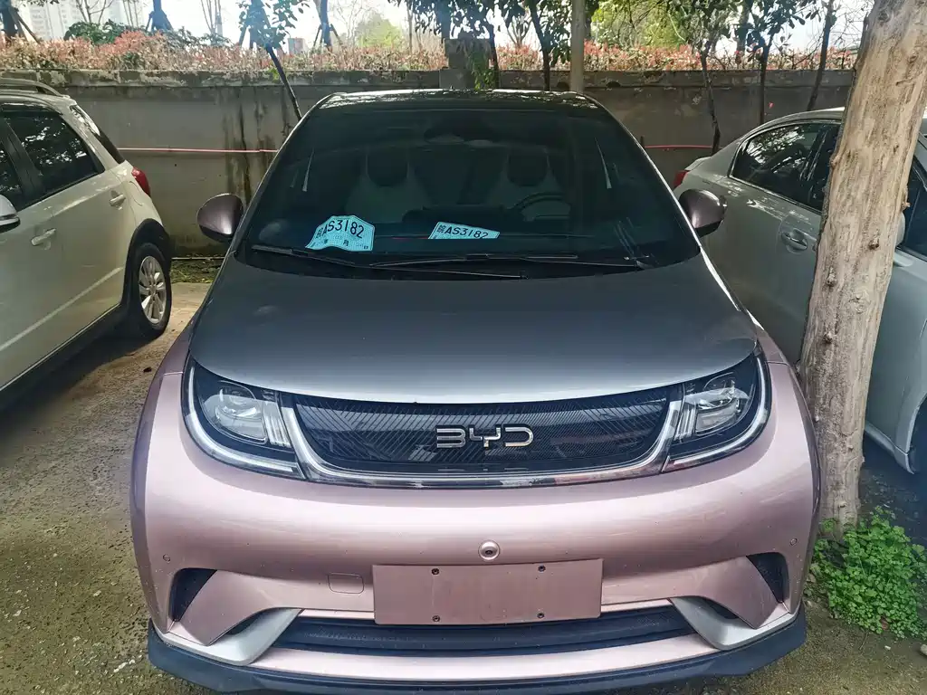 海豚 2021款 405km 时尚版 купить на сайте DeffCars